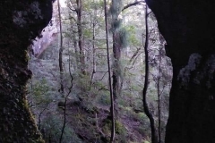 ADVENTURE_BecAndTheKids_Holy-Rock-Bastion-Cascades-Stone-Hut-Track