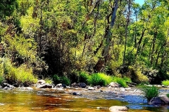 ADVENTURE_PeterAllan_Pineapple-Flat-VIC-High-Country