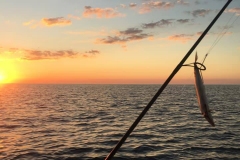 FISHING_DavidPool_Fraser-Island