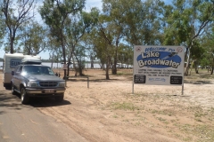 Lake Broadwater QLD. Fresh mulberries $5/ea per night.