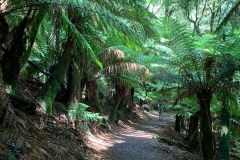 Tasmania