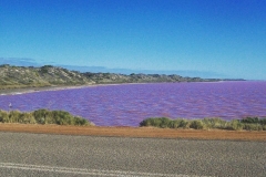 Pink Lake WA