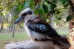 Stephen-Booral-Hervey-Bay