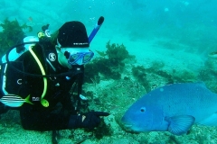 Baz-Great-Barrier-Reef