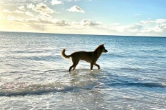 Lailey-Fraser-Island