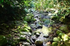 Sherry-Springbrook-QLD