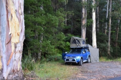 Camping at Toorongo Falls Reserve