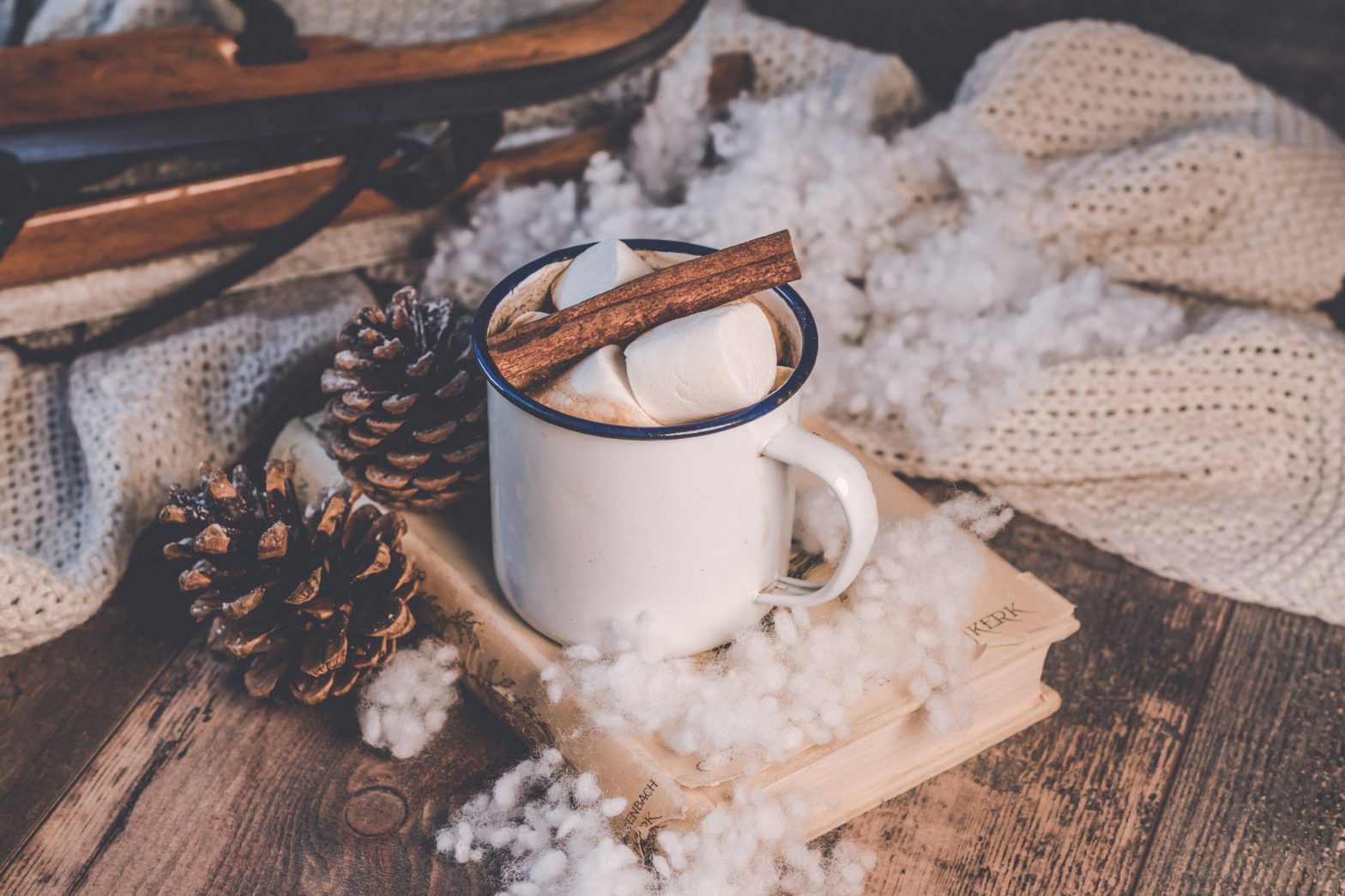 Hot chocolate in a camping mug, surrounded by pine cones