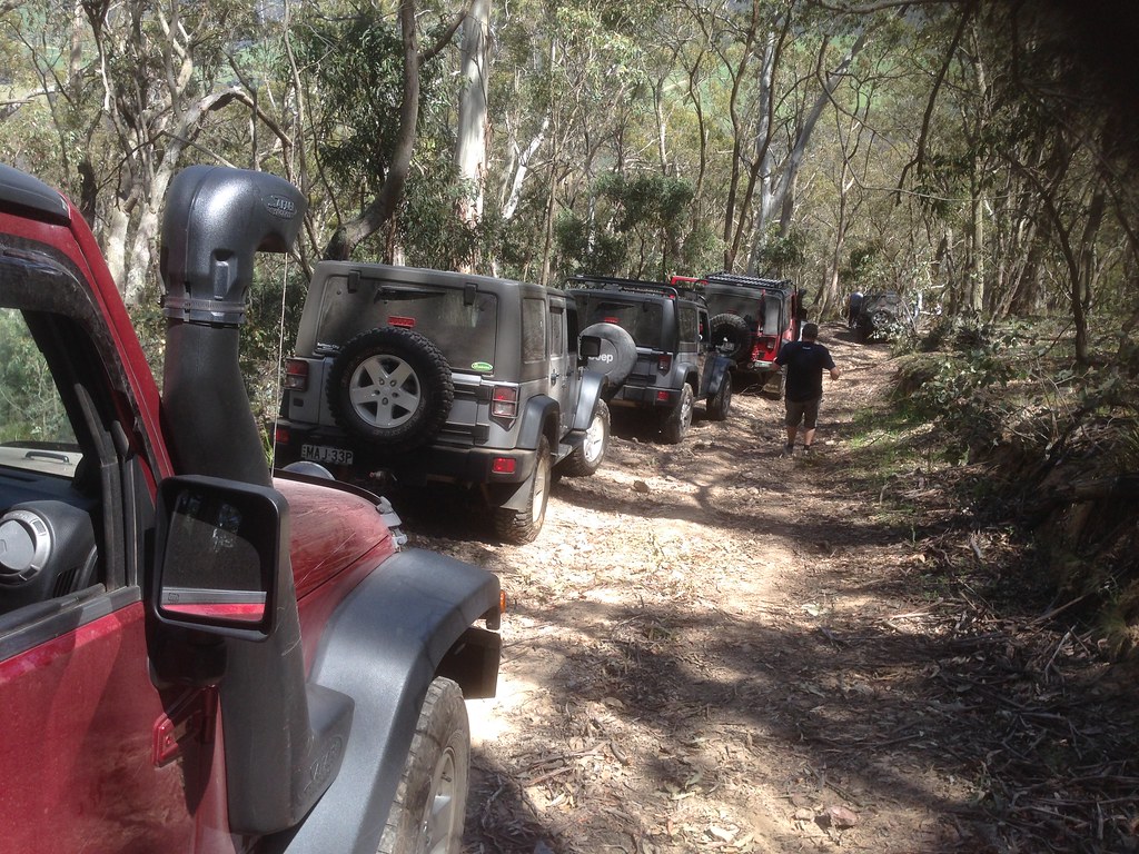 Convoy of four-wheel-drives