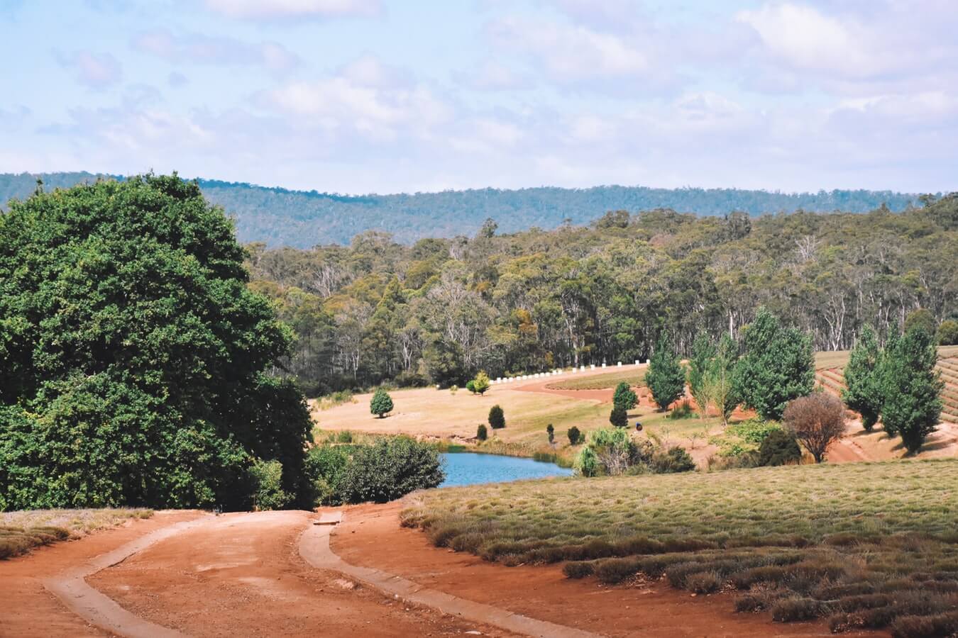 Approaching a bend on an offroad trail in Tasmania