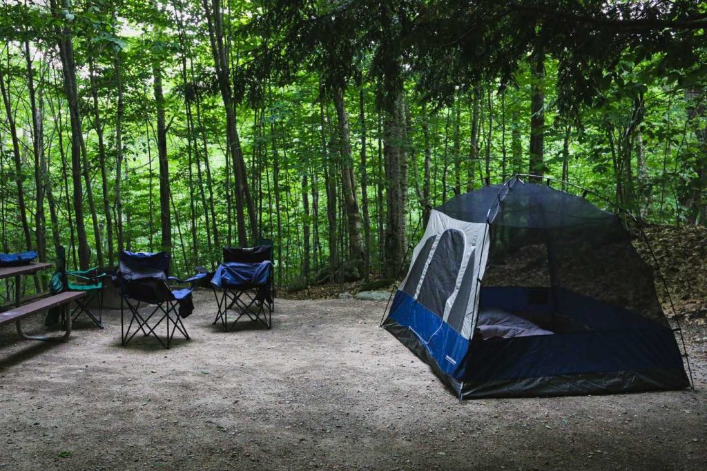 Blue Dome Tent Set up in a Forest