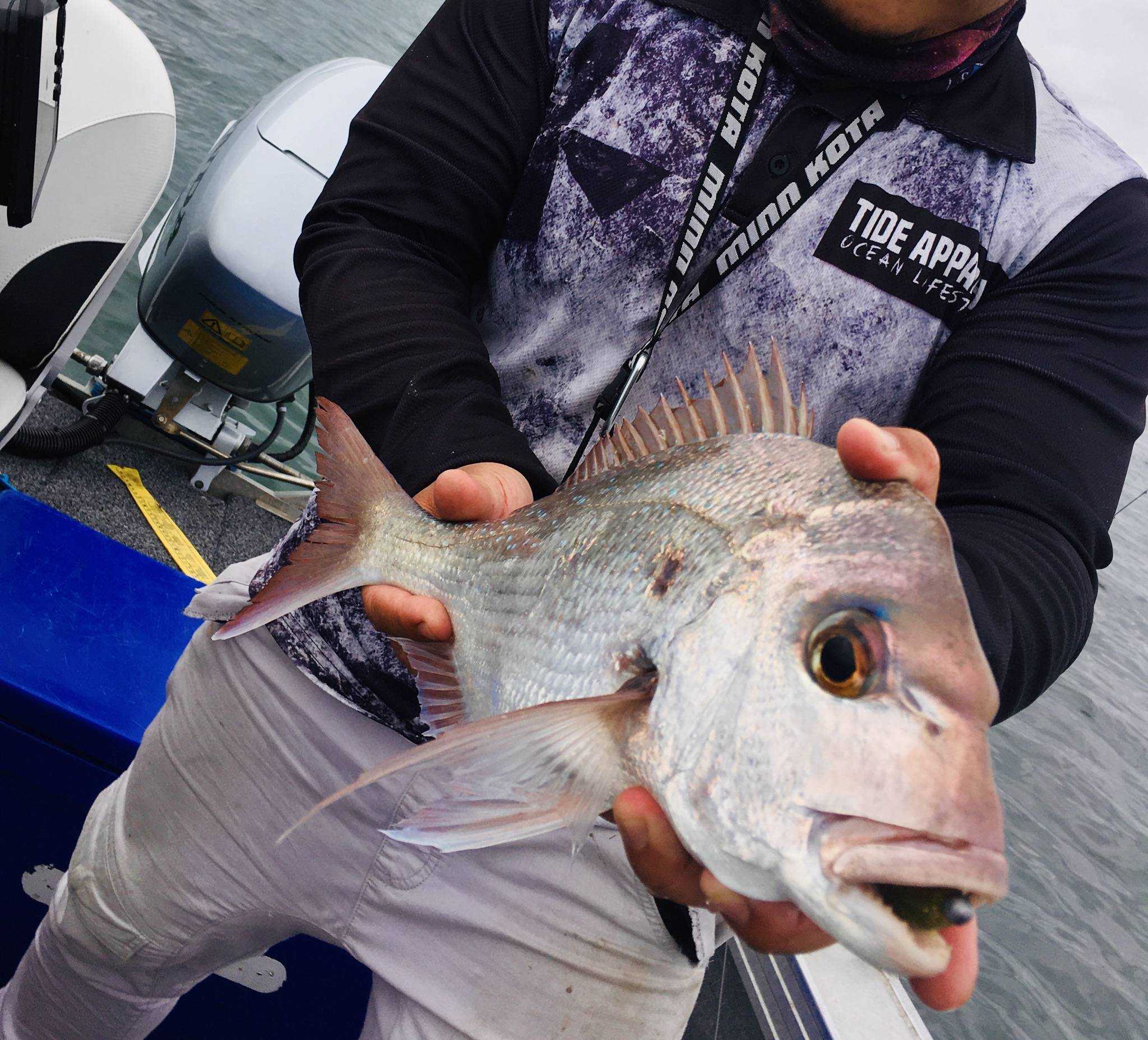 Person holding freshly caught fish