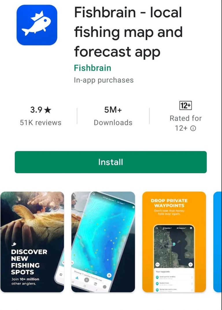 11 Best Fishing Apps in Australia 2021 OneAdventure