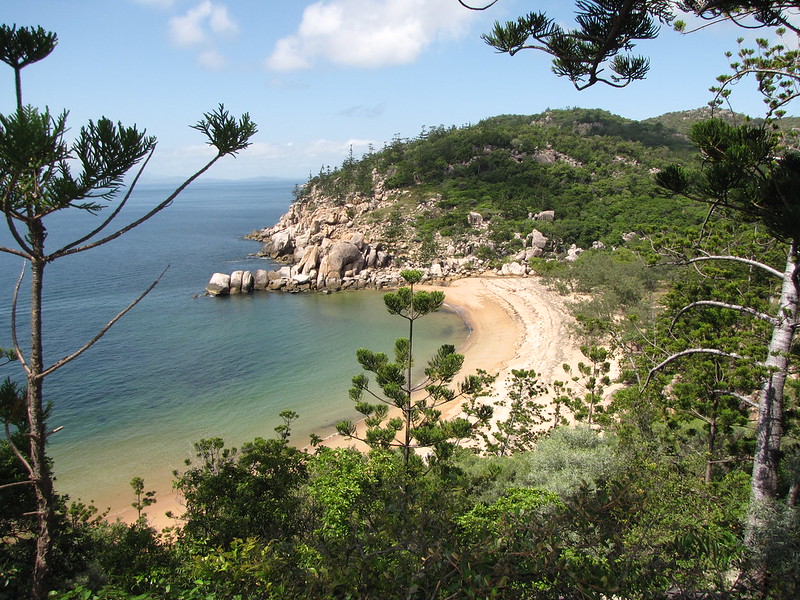 magnetic island fishing